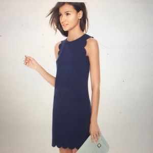 J Crew  Factory navy scalloped Shift dress  preppy